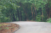 Shiradi Ghat ’green bypass’ to start in Nov, finish in 2 years